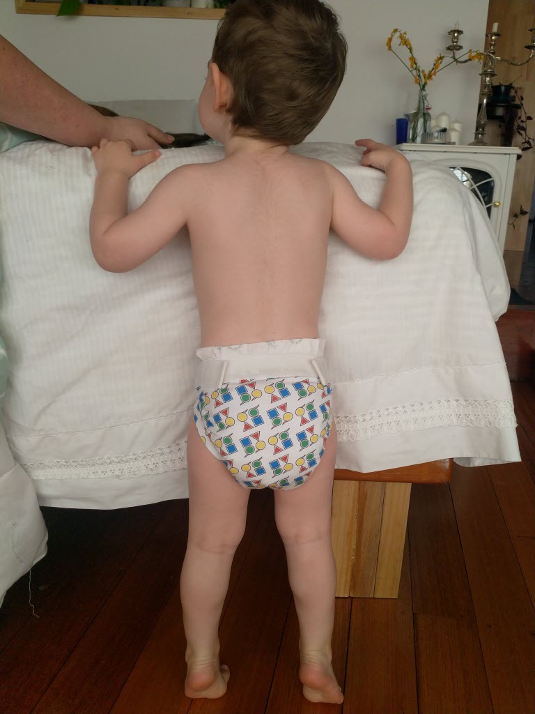 Eenee Hybrid Cotton Nappy Pants